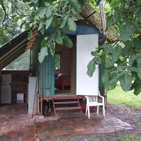 Lovely Garden House In